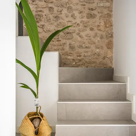 Can Planeses Banyoles Exterior photo